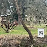 Erholung In Der Freiheit