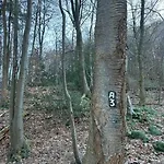 Erholung In Der Freiheit