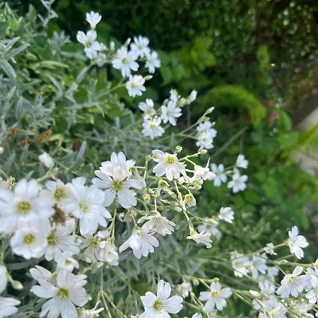 Erholung In Der Freiheit *