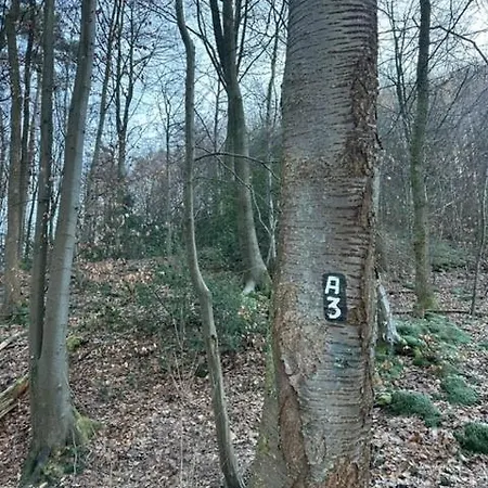 Erholung In Der Freiheit