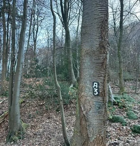 Erholung In Der Freiheit